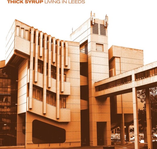 Thick Syrup Living In Leeds Vinyl Thick Syrup Living In Leeds Vinyl