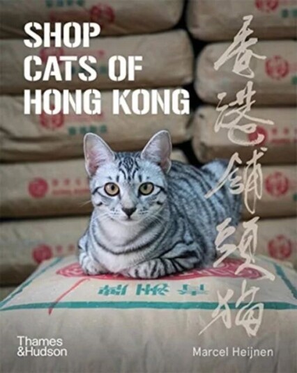 Shop Cats Of Hong Kong Av Marcel Heijnen Shop Cats Of Hong Kong Av Marcel Heijnen