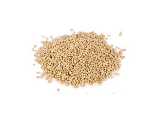 Korianderfrø hele 50g Korianderfrø hele 50g