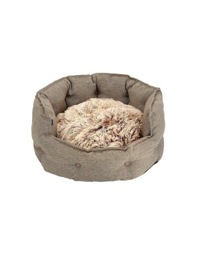 Dogman Seng Classy Memory Oval Bei S