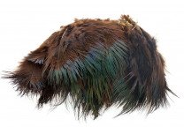 Wapsi Ringneck Rump Hackle