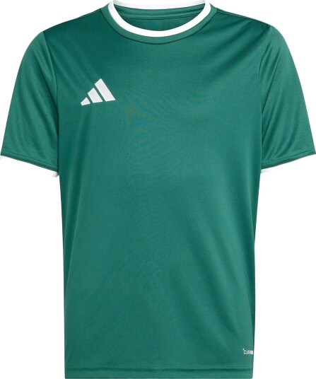Adidas Performance T skjorte Entrada26 Mørkegrønn/Hvit Adidas Performance 14 år (164) T skjorte Adidas Performance T skjorte Entrada26 Mørkegrønn/Hvit Adidas Performance 14 år (164) T skjorte