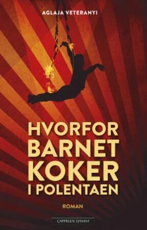 Hvorfor Barnet Koker I Polentaen Av Aglaja Veteranyi