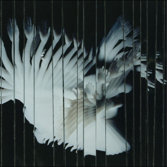 Scaler Endlessly CD