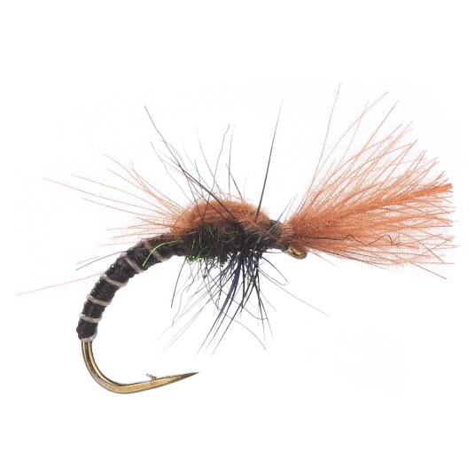 Arcticflies Tørrflue Spider Midge Genders Black