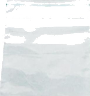 Lynlåspose 55X65 Mm 50 My Uden Skrivefelt Ldpe,10 Ps X 100 Stk/Pk