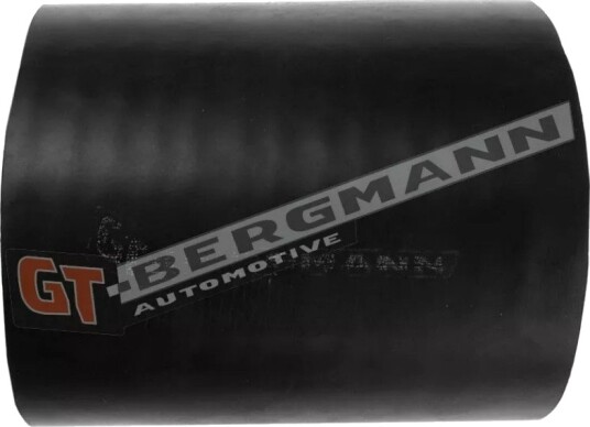 Ladeluftslange GT BERGMANN GT52 420
