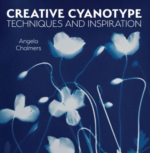 Creative Cyanotype Av Angela Chalmers Creative Cyanotype Av Angela Chalmers