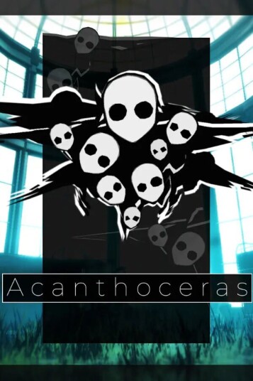 Acanthoceras