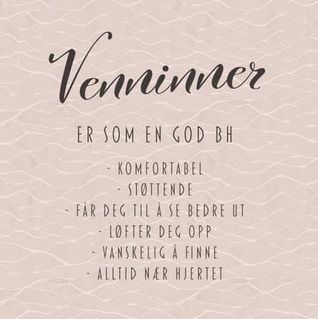 Servietter Lunsj "Venninner er som en god BH.." Servietter Lunsj "Venninner er som en god BH.."