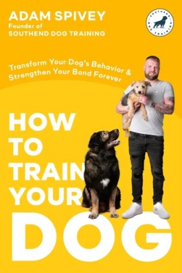 How To Train Your Dog