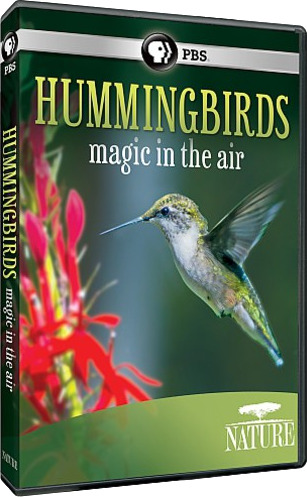 Nature: Hummingbirds DVD