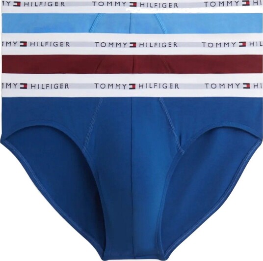 Tommy Hilfiger 3P Brief - OPULENT BLUE BURGUNDY BLUE SPELL - XL