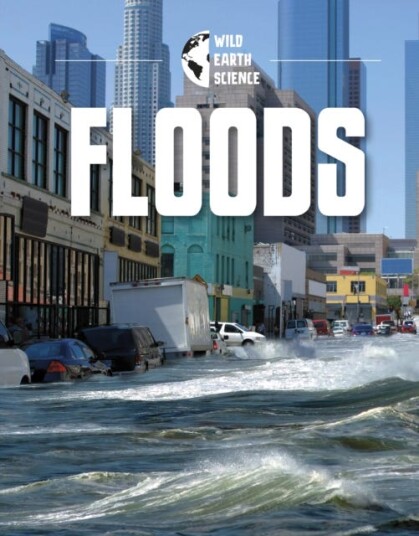 Floods Av Rachel Werner