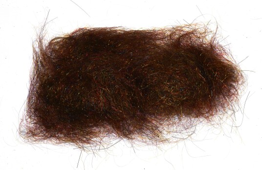 FishMadMan Arizona Seal FishMadMan Arizona Seal