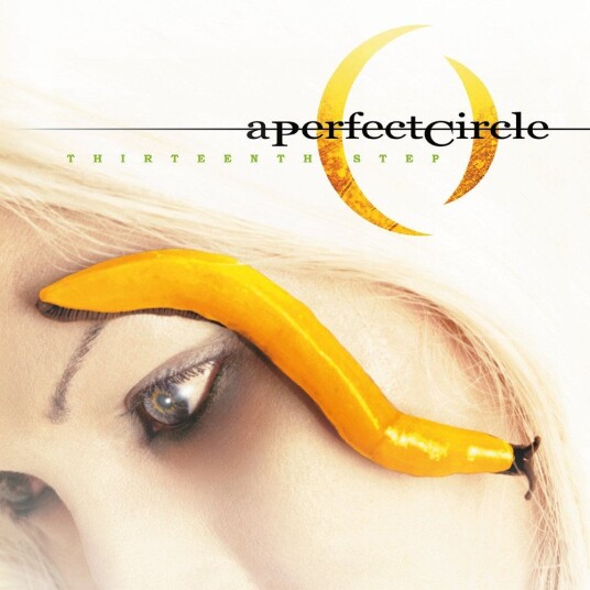 A Perfect Circle Thirteenth Step LP/Vinyl A Perfect Circle Thirteenth Step LP/Vinyl