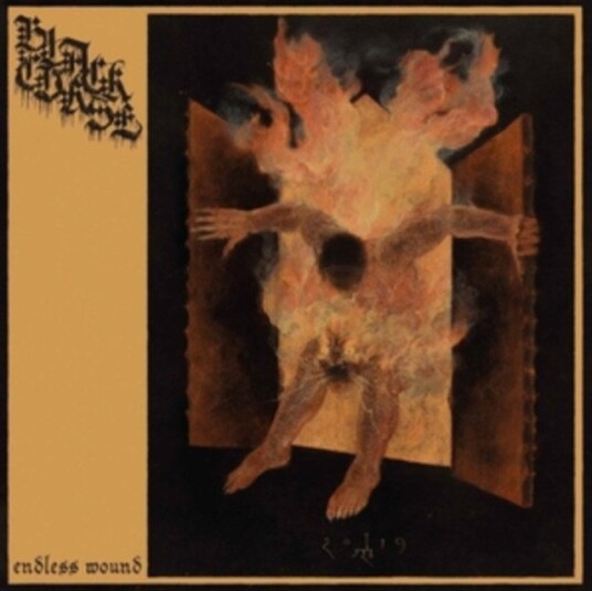 Black Curse Endless Wound Uk Vinyl