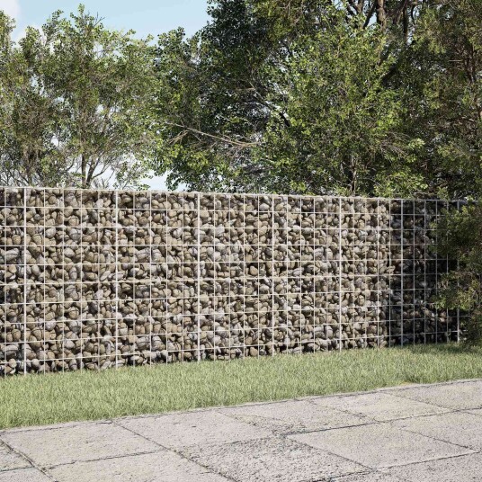 vidaXL Gabion med 5 mm tråd og 10x10 cm mesh 250x30x100 cm