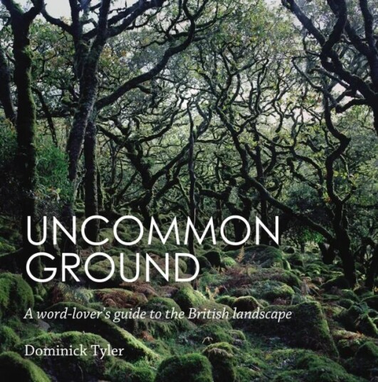 Uncommon Ground Av Dominick Tyler