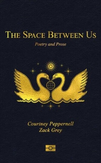 The Space Between Us av Courtney Peppernell, Zack Grey