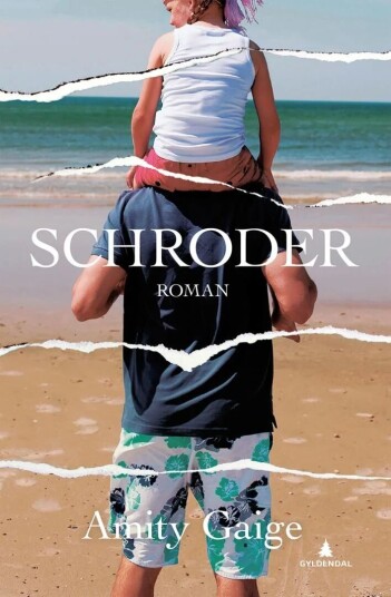 Schroder Av Amity Gaige