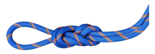 Mammut 9.0 Alpine Sender Dry Rope 40m Ice-sunrise 40 m