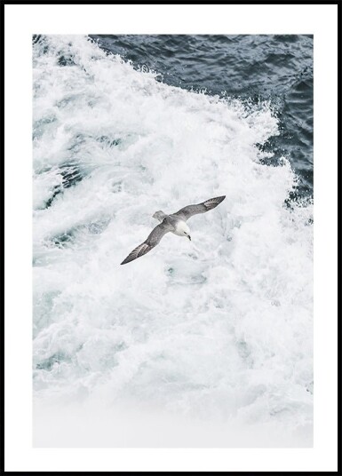 Grey Seagull Flying Over Waves Plakat Plakat / 21x30cm