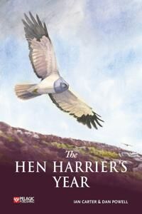 The Hen Harrier'S Year Av Ian Carter