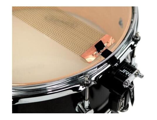 Puresound Cpb1320 13" Custom Pro Seide 20 Strands, Brass