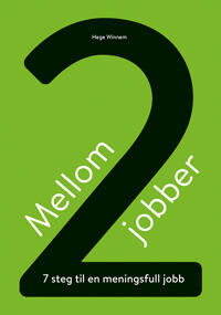 Mellom To Jobber Av Hege Winnem