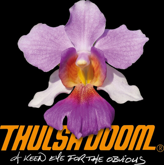 Thulsa Doom A Keen Eye For The Obvious Vinyl