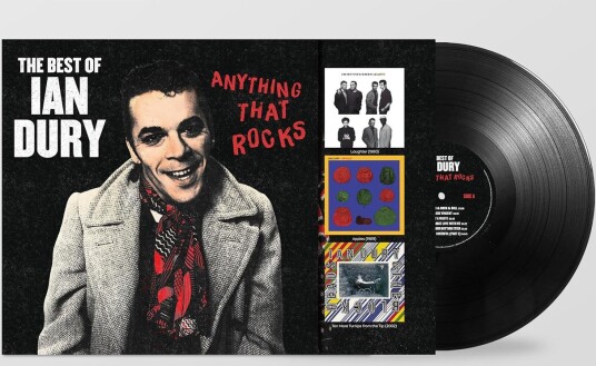Ian Dury Anything That Rocks The Best Of Vinyl
