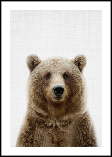 Peekaboo Bear Poster Plakat / 50x70cm Peekaboo Bear Poster Plakat / 50x70cm