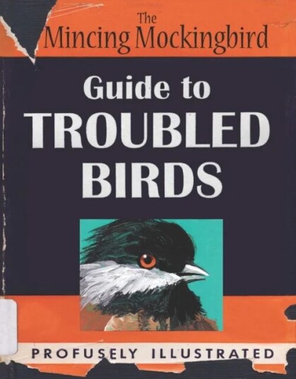 Guide To Troubled Birds Av The Mincing Mockingbird