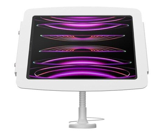 Compulocks iPad Pro 12.9" (3-6th Gen) Space Enclosure Flex Arm Mount