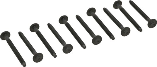 Topplokksbolter ELRING 481.900 Topplokksbolter ELRING 481.900