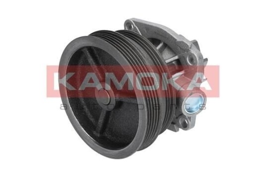 Vannpumpe KAMOKA T0112