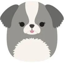 Squishmallows 30 cm malu shih tzu p17 Squishmallows 30 cm malu shih tzu p17