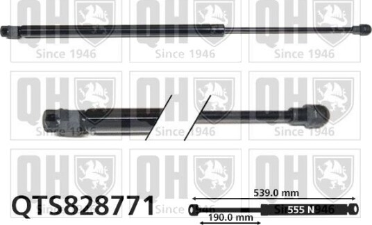 QUINTON HAZELL QTS828771 Baklukedemper
