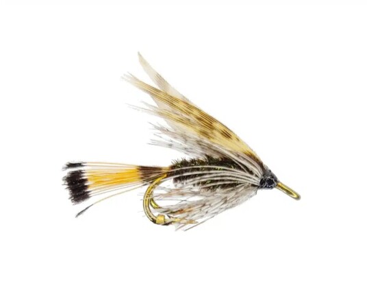 Hurricane Hardy'S Favourite #8-12 Dobbelkrok - #10