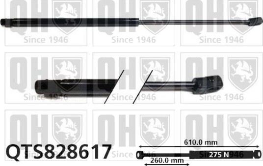 QUINTON HAZELL QTS828617 Baklukedemper