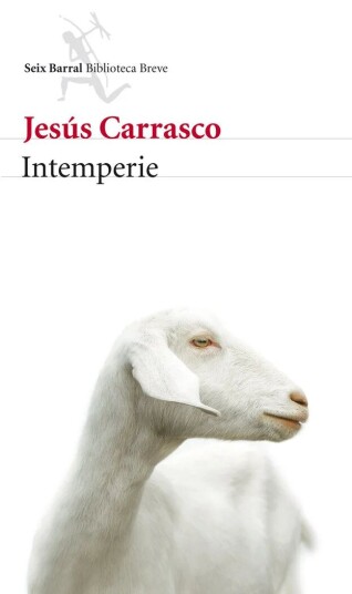 Intemperie Av Carrasco