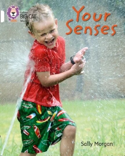 Your Senses Av Sally Morgan Your Senses Av Sally Morgan