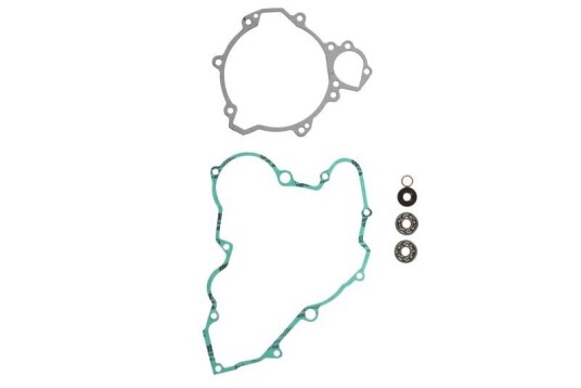 Pakning vannpumpe WINDEROSA 821303