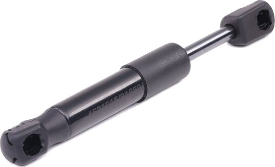 RIDEX 219G0192 Baklukedemper