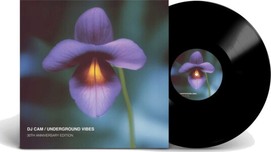 Underground Vibes 30th Anniversary Vinyl Underground Vibes 30th Anniversary Vinyl