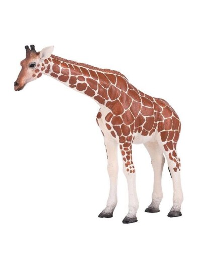 Mojo Wildlife Giraffe Female   381033