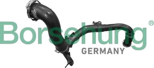 Borsehung B12353 Ladeluftslange