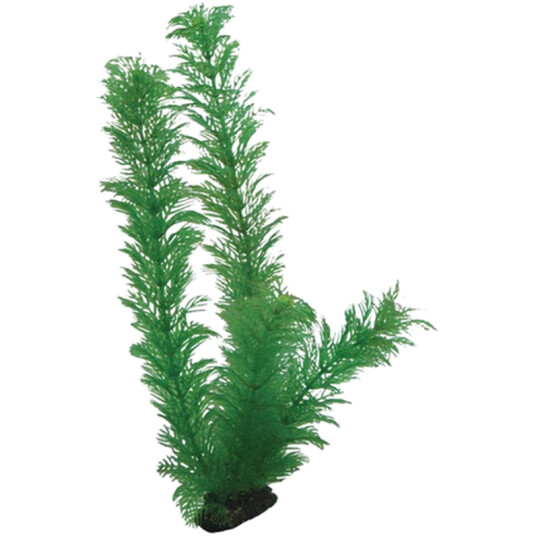 Plastplante Egeria 34Cm