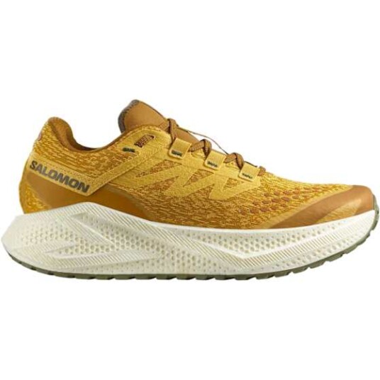 Salomon Men's Aero Glide 3 Grvl Spicy Mustard/vanilla Ice/deep Lich 44